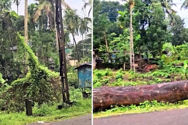 Prime Residential Land for Sale at Pathanamthitta